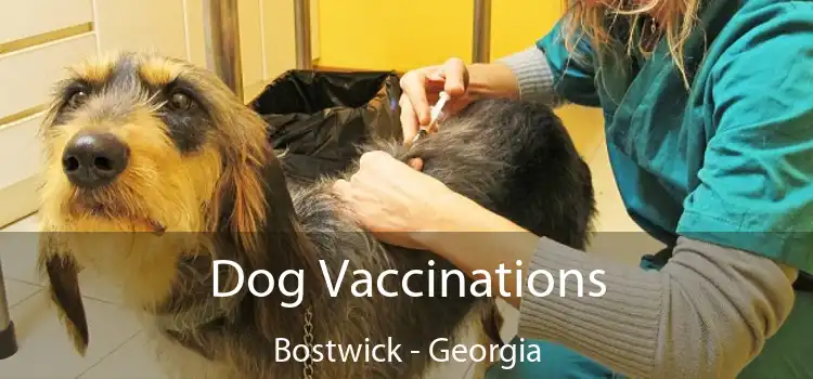 Dog Vaccinations Bostwick - Georgia