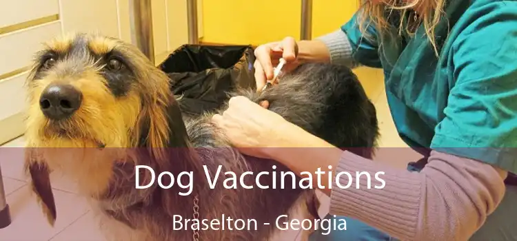 Dog Vaccinations Braselton - Georgia