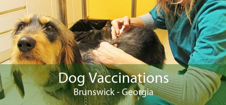 Dog Vaccinations Brunswick - Georgia