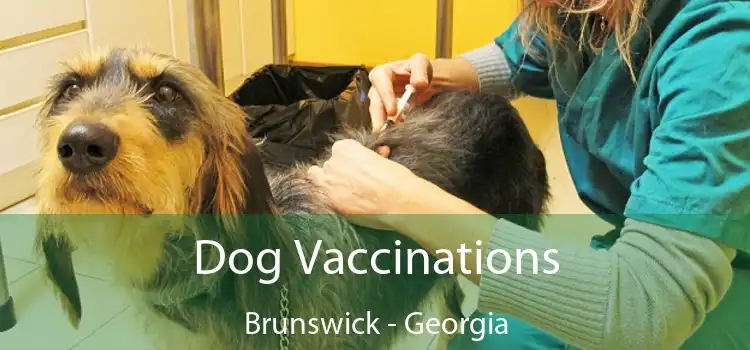 Dog Vaccinations Brunswick - Georgia