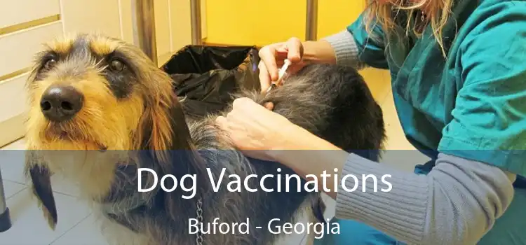 Dog Vaccinations Buford - Georgia