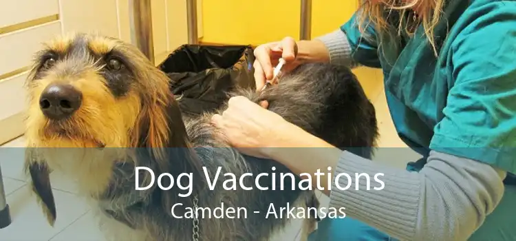 Dog Vaccinations Camden - Arkansas
