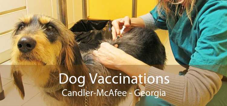 Dog Vaccinations Candler-McAfee - Georgia