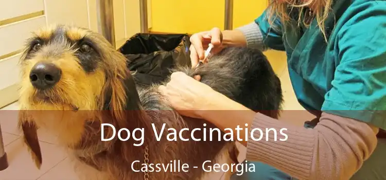 Dog Vaccinations Cassville - Georgia