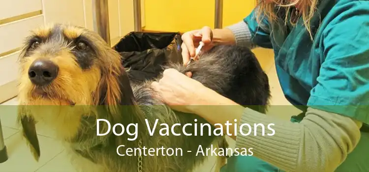 Dog Vaccinations Centerton - Arkansas