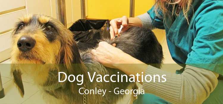 Dog Vaccinations Conley - Georgia