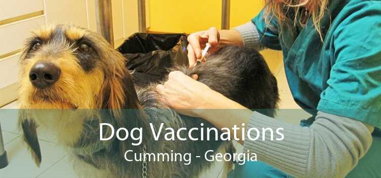 Dog Vaccinations Cumming - Georgia