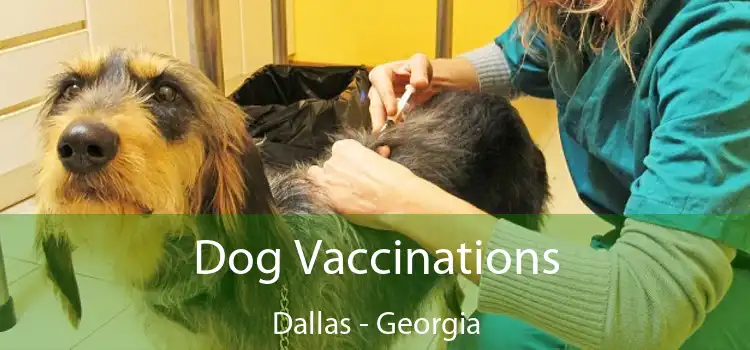 Dog Vaccinations Dallas - Georgia