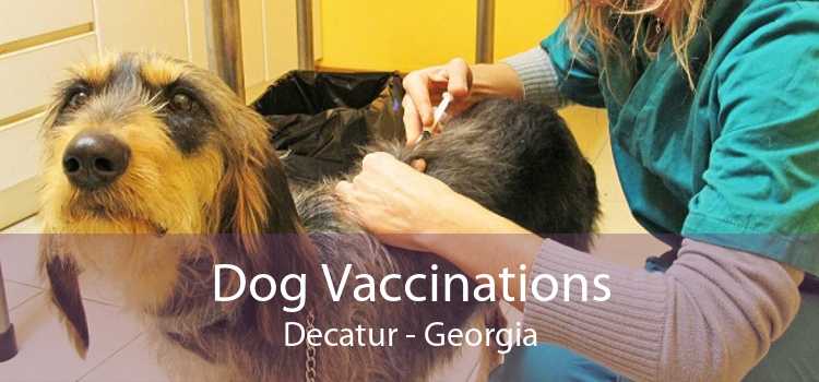 Dog Vaccinations Decatur - Georgia