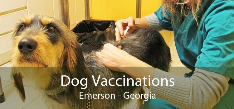 Dog Vaccinations Emerson - Georgia
