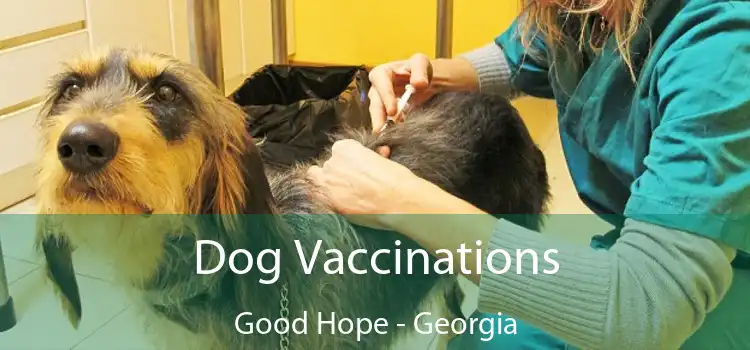 Dog Vaccinations Good Hope - Georgia