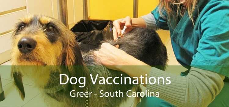 Dog Vaccinations Greer - South Carolina