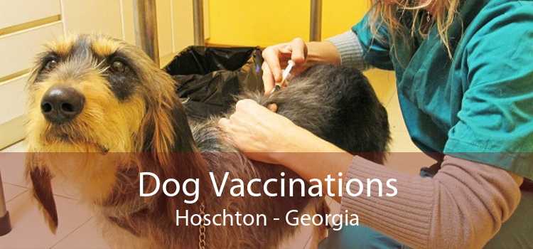 Dog Vaccinations Hoschton - Georgia