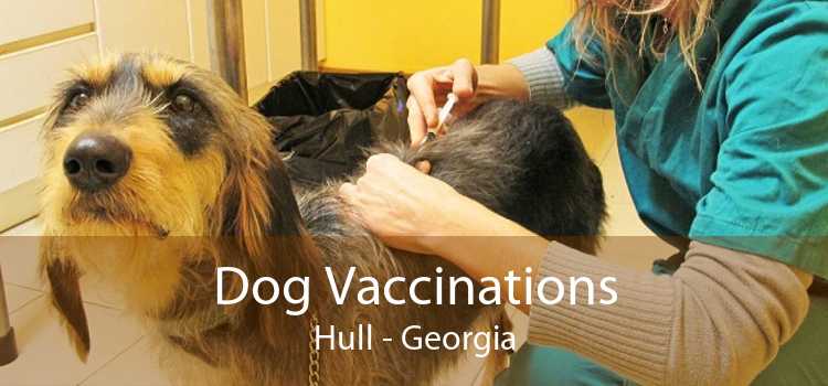 Dog Vaccinations Hull - Georgia