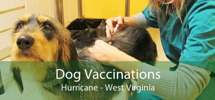 Dog Vaccinations Hurricane - West Virginia