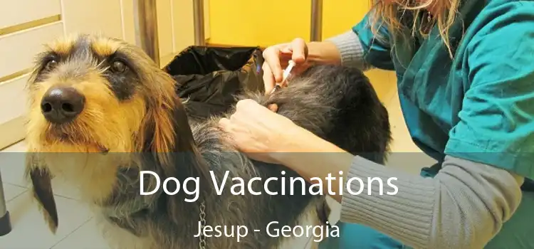 Dog Vaccinations Jesup - Georgia