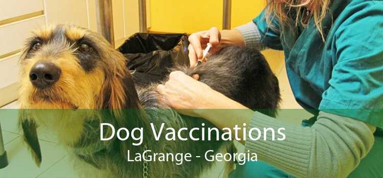 Dog Vaccinations LaGrange - Low Cost Dog Vaccinations Near Me