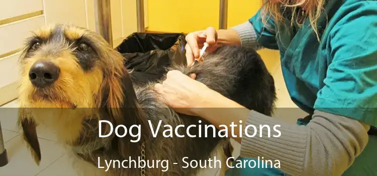 Dog Vaccinations Lynchburg - South Carolina