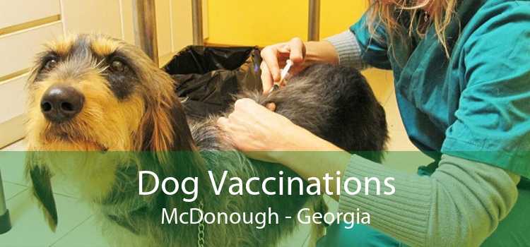 Dog Vaccinations McDonough - Georgia