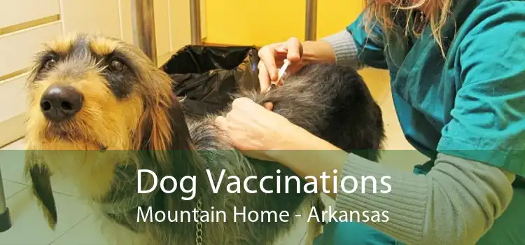 Dog Vaccinations Mountain Home - Arkansas
