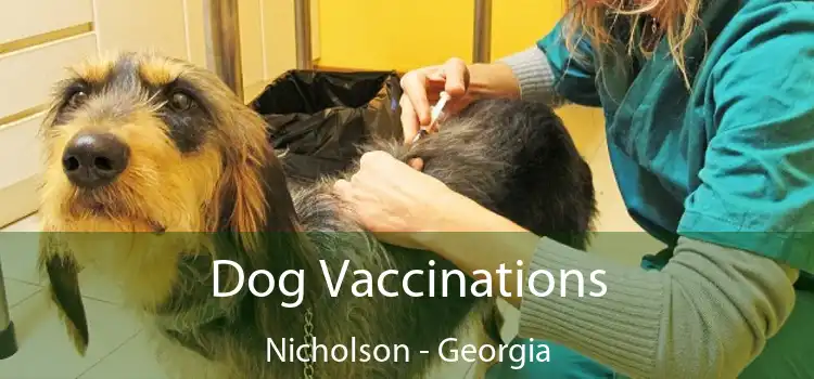 Dog Vaccinations Nicholson - Georgia