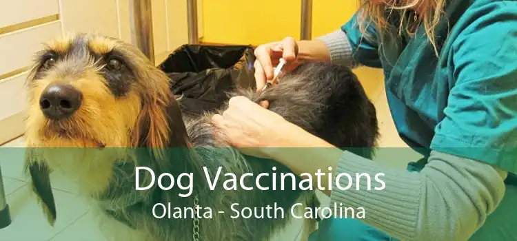Dog Vaccinations Olanta - South Carolina