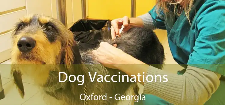 Dog Vaccinations Oxford - Georgia