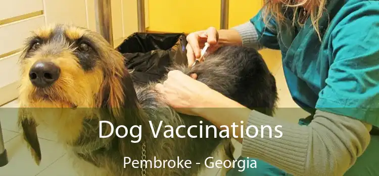 Dog Vaccinations Pembroke - Georgia