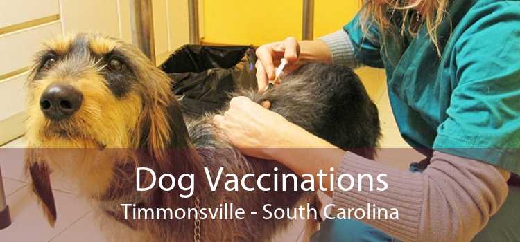 Dog Vaccinations Timmonsville - South Carolina