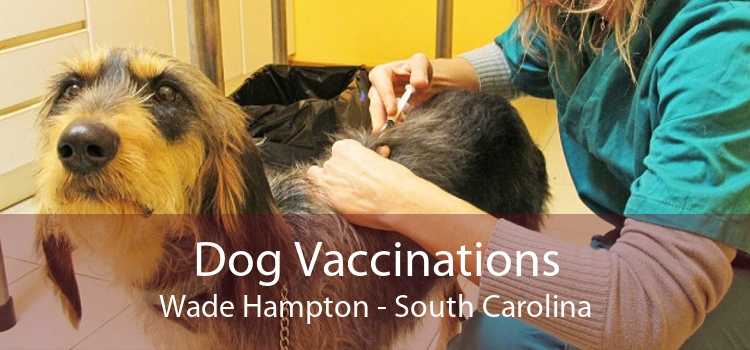 Dog Vaccinations Wade Hampton - South Carolina