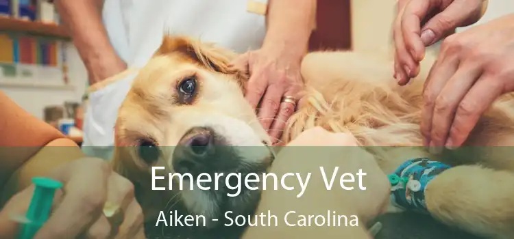 Emergency Vet Aiken - South Carolina