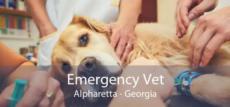 Emergency Vet Alpharetta - Georgia