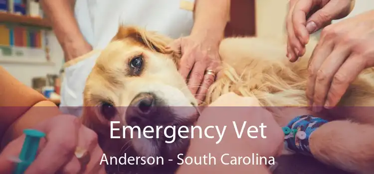 Emergency Vet Anderson - South Carolina