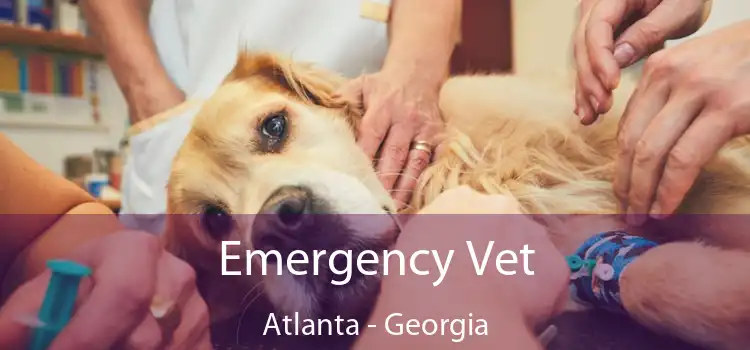 Emergency Vet Atlanta - Georgia