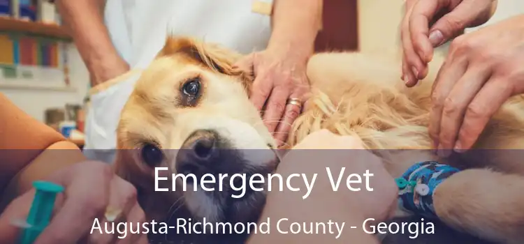 Emergency Vet Augusta-Richmond County - Georgia