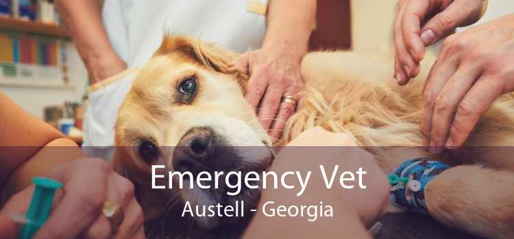 Emergency Vet Austell - Georgia