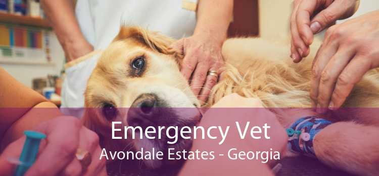 Emergency Vet Avondale Estates - Georgia