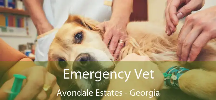 Emergency Vet Avondale Estates - Georgia