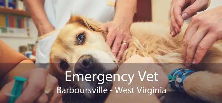 Emergency Vet Barboursville - West Virginia