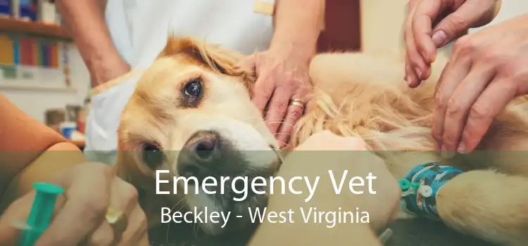 Emergency Vet Beckley - West Virginia