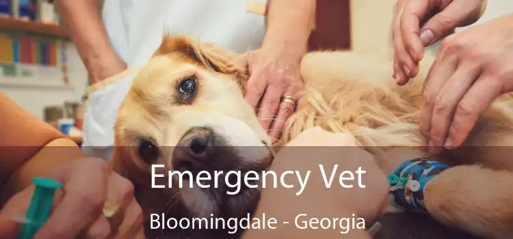 Emergency Vet Bloomingdale - Georgia