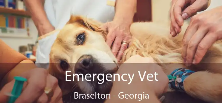 Emergency Vet Braselton - Georgia