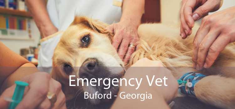 Emergency Vet Buford - Georgia