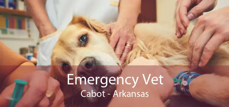 Emergency Vet Cabot - Arkansas