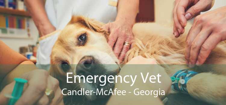 Emergency Vet Candler-McAfee - Georgia