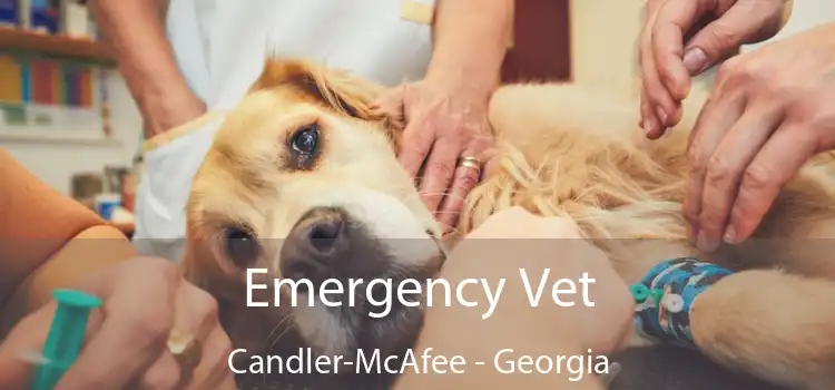 Emergency Vet Candler-McAfee - Georgia