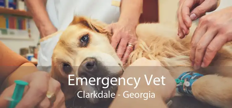 Emergency Vet Clarkdale - Georgia