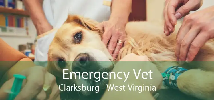 Emergency Vet Clarksburg - West Virginia