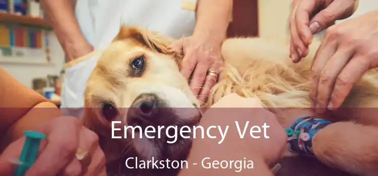 Emergency Vet Clarkston - Georgia