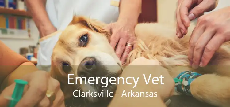 Emergency Vet Clarksville - Arkansas
